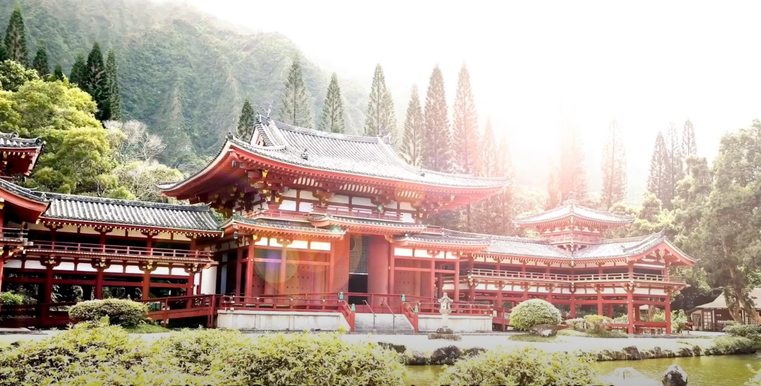 為什麼要學習佛法？根本的原因是什麼？