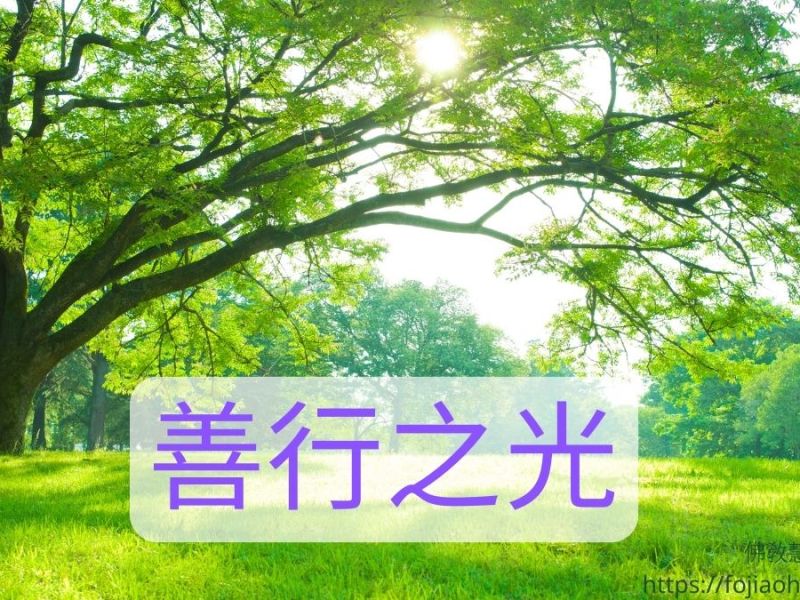 【佛教故事】07- （佛教因果故事）善行之光：佛教真實故事揭示善行的回報！