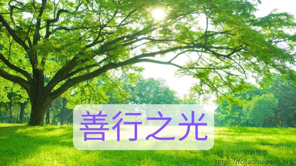 【佛教故事】07- (佛教因果故事)善行之光:佛教真實故事揭示善行的回報!