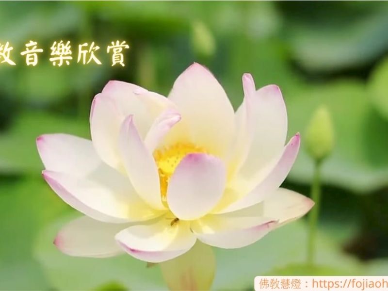 佛教音樂欣賞～純音樂 08 好聽的音樂，靜心，放鬆