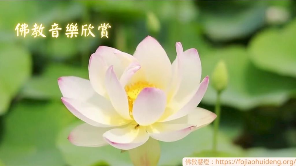 佛教音樂欣賞～純音樂 08 好聽的音樂，靜心，放鬆