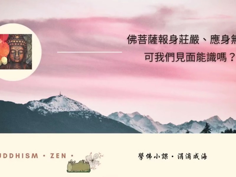 【學佛知見 受用感悟】08- 佛菩薩報身莊嚴應身無數可我們見面能識嗎？